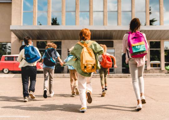 Backs of schoolkids
