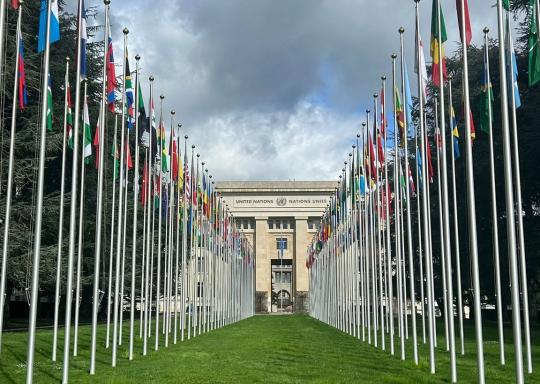 united nations entrance with grass lined by flagpoles of world flags