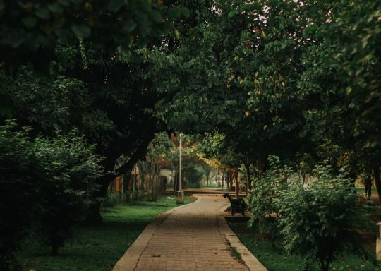 An image of a park with pathway running through the middle