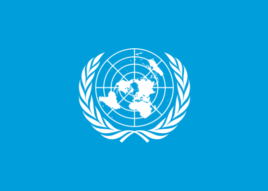 UN Logo